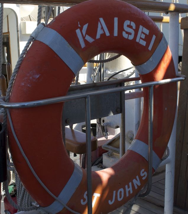 704-Project Kaisei13