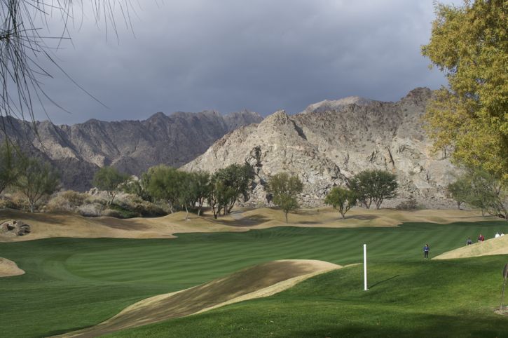 831-Joshua Tree18