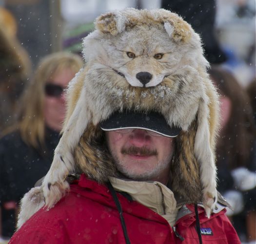 834-Iditarod 2012 People2