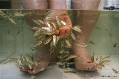 Fish Pedicures
