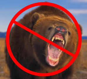 bear1