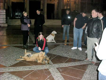 dog2