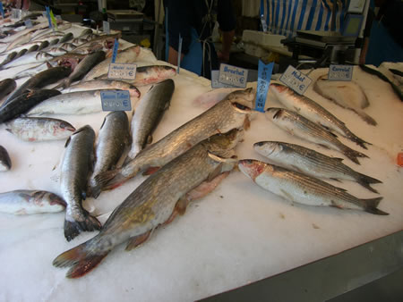 market6