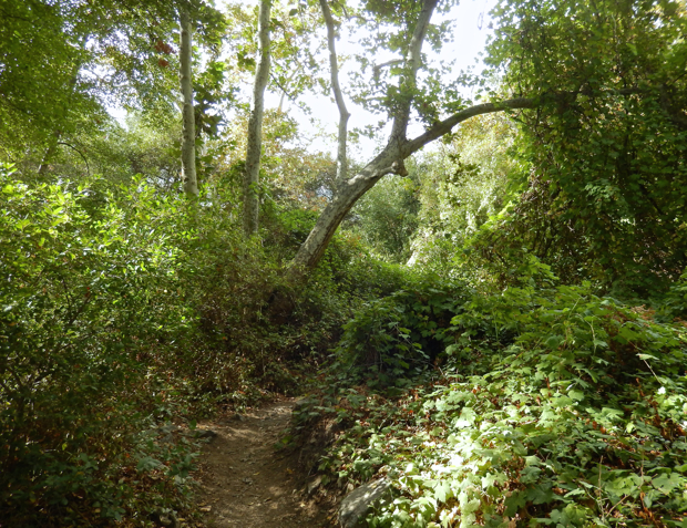 DSCN3633