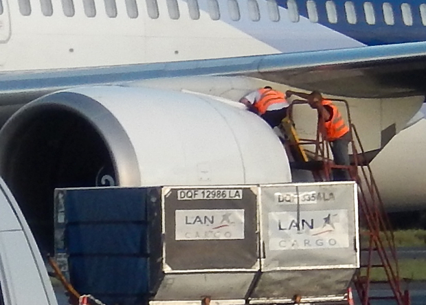 DSCN4341 - Version 2