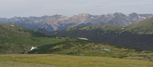DSC_0970